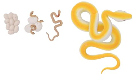 Aramox Set di Figurine Educative del Ciclo di Vita del Serpente per Menti Curiose, Materiale in PVC Sicuro per Un Divertimento Senza Fine, Ornamento Decorativo per Gli Amanti della Scienza [4