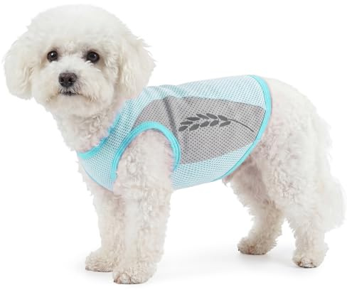 Camisa refrescante para perros, chaleco ligero para enfriar el hielo para perros, camisa de protección solar, mantiene las semillas de hierba fuera del abrigo y se enfrían (azul, L)
