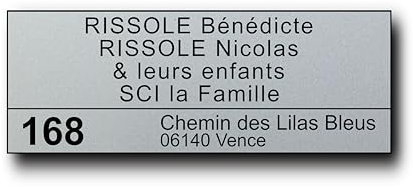 Plaque Boite aux Lettres Personnalisable - 12x5 cm - 5 Lignes - Adhésive - Adresse et Numéro de Rue - Maison, Famille, Bureau - Conforme à la Norme Juin 2024 (Argent)