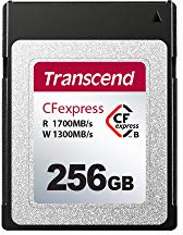 Transcend CFexpress 820 256GB Type B Memory Card, Speed up to 1700MB/s for for Professional Photography & 4K Video TS256GCFE820