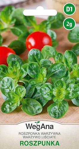 WegAna Mâche graines 2g, graines de légumes robustes, graines de légumes, graines de culture, graines pour la serre