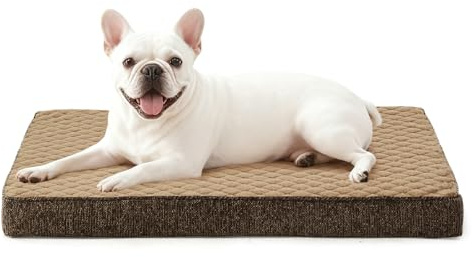 JOEJOY Cuccia Cane Interno Taglia Piccolo, Cuccia per Cani Ortopedico, Letto per Cani Impermeabile Sfoderabile e Lavabile, Cuscino Cane, Base Antiscivolo, Marrone, 58x44x7.5cm