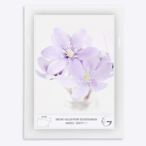Online-GalleryKing Cornice Foto 21 x 25 cm Cornice per Poster Puzzle Collage di Foto Colore Bianco Lucido in Vetro antiriflesso e Cornice in MDF da 35 mm