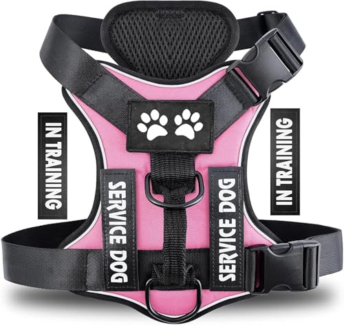 Harnais pour Chien Personnalisé, Confort Réglable et Respirable Réfléchissant Harnais Gilet pour Chiens Petits, Moyens et Grands