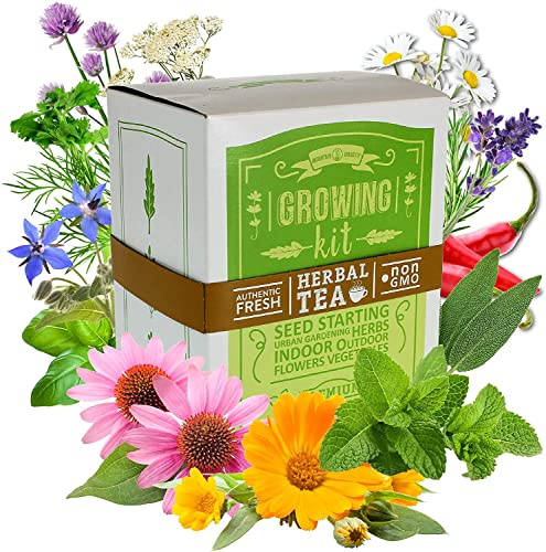 Medicinal & Herbal Tea Indoor Herb Garden Starter Kit - Deluxe Herb Seeds - 12 Varieties: Chamomile, Hot Pepper, Basil, Sage, Rosemary, Thyme, Lavender, Echinacea, Borage, Peppermint, & Yarrow