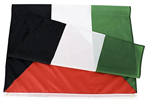 FlagSuperstore - Bandiera della Palestina, 152 x 91 cm, 100% Poliestere, con Occhielli