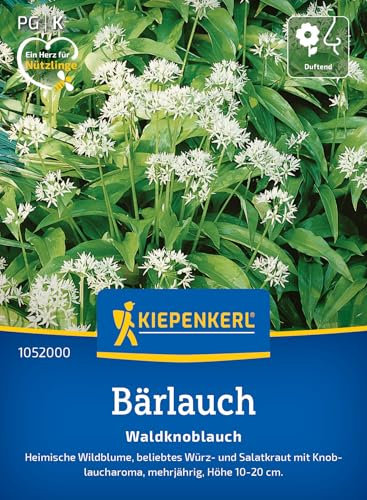 Kiepenkerl Bärlauchsamen Waldknoblauch 1052000 - Wildblume - Würz- und Salatkraut - Inhalt für 35 Pflanzen - Kräutersamen, Samen Kräuter, Saatgut