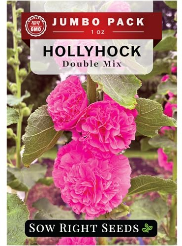 Sow Right Seeds - Bulk Double Hollyhock Seeds for Planting - Non-GMO Heirloom Jumbo Pack - Giant Biennial Flower Variety - Easy Growing Hollyhocks for Flower Garden - Perfect for Cottage Garden