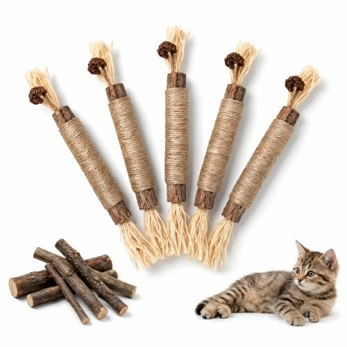 OVIANOR Bâtonnets Herbe à Chat 5 Pièces, Naturel Jouet Chat