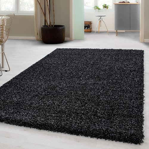 Carpetsale24 Shaggy Hochflor Teppich, 120x170 cm, Anthrazit, weich, flauschig, modern, einfarbig, Für Wohnzimmer oder Schlafzimmer, für Wohnzimmer Schlafzimmer Flur