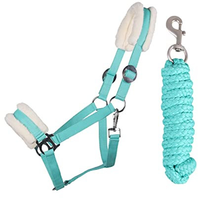 ARBO-INOX Halfter-Set Starter mit Kunstfell Halfter und Führstrick (SHETTY, TÜRKIS)