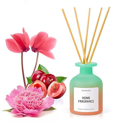 Diffusore Profumo Ambiente con Bastoncini, Diffusore per Ambiente 100ml con 6 pz Bastoncini, Diffusore Profumato di Brezza Estiva, Diffusore a Bastoncini per Stanza, Bagno, Ufficio, Armadio