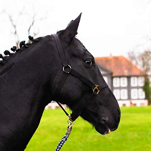 Halter for Horses Warmblood, Thoroughbred, Cold Blood - Stable Halter, Pasture Halter, 2 Adjustable Positions on Chin Strap and Headpiece, Safe & Tear-Resistant (Black, Pony)