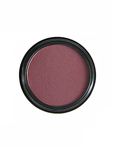 AQUAPURITY - PHOERA Matte Eyeshadow velvet matte palette Waterproof Long Lasting in 12 striking shades creme-powder formula easy to blend and build Cruelty free Vegan (205 FRISKIE)