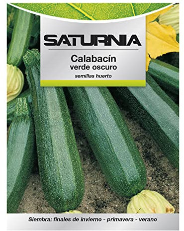 Semillas Calabacin Verde Oscuro (5 gramos) Semillas Verduras, Horticultura, Horticola, Semillas Huerto.