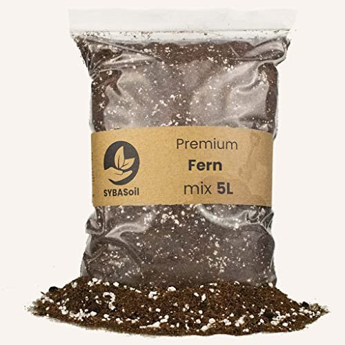 Sybotanica Farn-Erde 5 L – Premium Coco Blumenerde für Farn, Hedera & mehr, Torffrei & 180 Tage Bio-Dünger – Für Zimmerpflanzen-Liebhaber