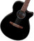 Ibanez AEG50N BK Nylon String - Chitarra classica 4/4