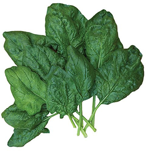 Burpee Bloomsdale Spinach Seeds 1100 seeds