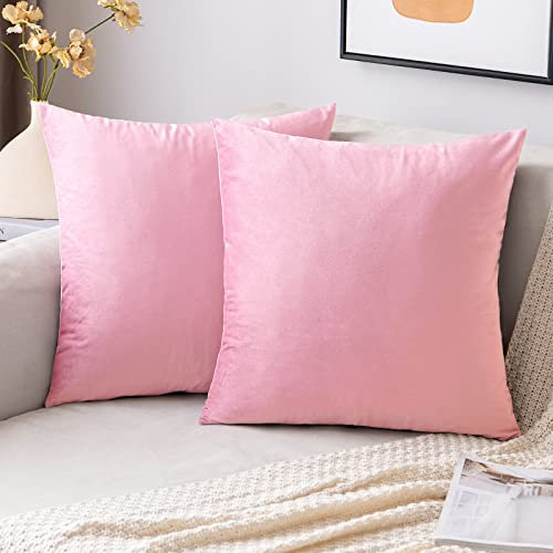 EMEMA Samt Kissenbezug Kissenhülle 45x45 cm Dekorative Dekokissen Sakura Rosa Sofakissen Lendenkissen Wurfkissenbezug mit Verstecktem Reißverschluss Schlafzimmer Sofa 2er Set