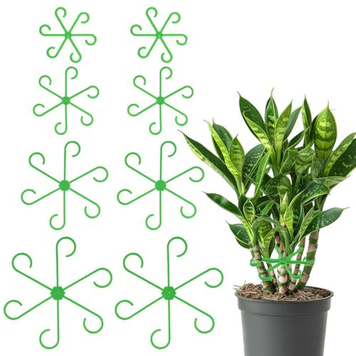 Lot de 8 supports ronds pour plantes grimpantes Monstera et Alocasia, anneau pour plantes, hortensias, tomates