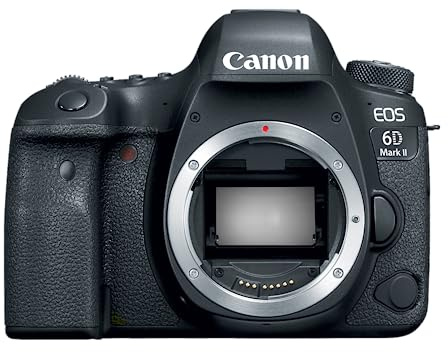 Canon Canon EOS 6D Mark II Digital SLR Camera BodyFi Enabled Cadenas, 2 cm, Noir (Black)