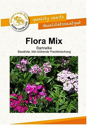 Blumensamen Flora, Bartnelke frühe Mischung Portion
