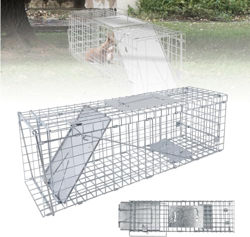 Piège de Capture Animaux 62x19x22 cm - Cage Trappe Pliable en Fil de Fer Galvanisé avec Poignée Piège - pour Ratons Laveurs, Martres et Chats - Installation Facile et sans Danger pour Animaux