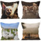 CEVAN Leinen Kissenbezüge Verschiedene Grössen Kissenbezug Dekokissen Herde Kissenbezüge Landhaus Kissenbezug Set Sommer Kissenbezüge Sofa Dekor 50x50cm,4Pcs