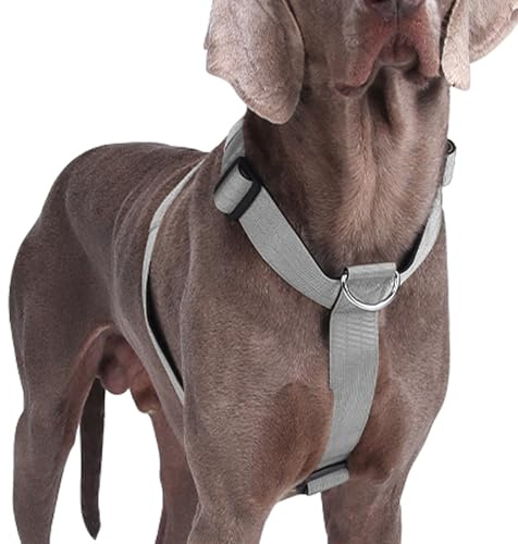 Hundegeschirr Mittelgroße Grosse Hunde, Taktisches Hundegeschirr Ausbruchsicheres, Gepolsterte Anti Zug Brustgeschirr Weich Verstellbares Dog Harness für Hunde Alltag und Training (Grau, XL)