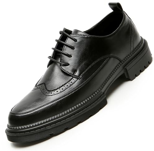 Men's Trendy Brogue Wingtip Dress Shoes Formal Business Casual Lace Up Punched Leather Oxford (Black, Adult, Men, 11, Numeric, US Footwear Size System, Medium)