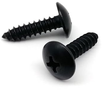 oipwtfbq 10/20/50 Piezas M2.2 M2.9 M3.5 M3.9 M4.2 M4.8 Negro 304 Cruz de Acero Inoxidable Cabeza Redonda Grande Tornillo de Madera autorroscante(Size:10pcs M4.8x25mm)