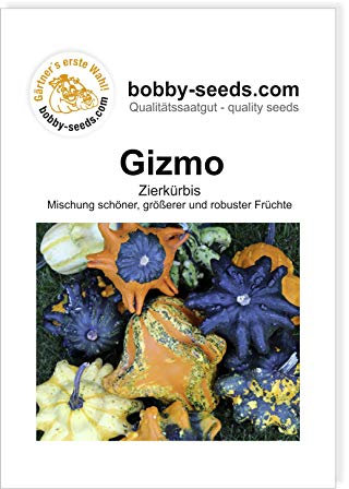 Gizmo Zierkürbis von Bobby-Seeds, Portion