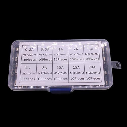 MEELYHOME 100 Stück Glassicherungen Set 5 x 20 mm langsame Glassicherungen Feinsicherungen Träger Glassicherungen 0,2 A-20 A für elektrische Geräte