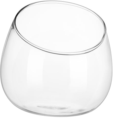 YARNOW Terrarium en Verre Transparent Ouverture Inclinée, Pot à Succulentes Diamètre 12 Cm, Bol Décoratif Multifonction pour Plantes Grasses D'intérieur, Vase Compact pour Décoration