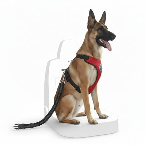 arnés Reflectante antitirones, arnes Perro Grande sin tirones, Dog Harness, Correa Coche homologado, Arnés Perro CINTURÓN Incluido Transpirable, cómodo y Seguro