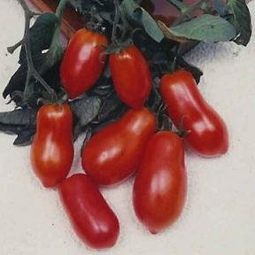 Tomato Martino's Roma 250 Seeds