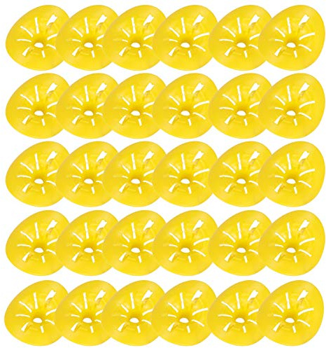 Trampas para Abejas en Forma de Flor, 30 Unidades, Embudo Reutilizable para Atrapar Abejas, Herramientas de Accesorios de Apicultura, Atrapador de Botellas de Avispas, Patio, y