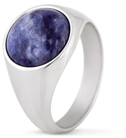 Akitsune Coruscent Ring | Minimalistisk sigillring med halvädelsten herrring rostfritt stål designer
