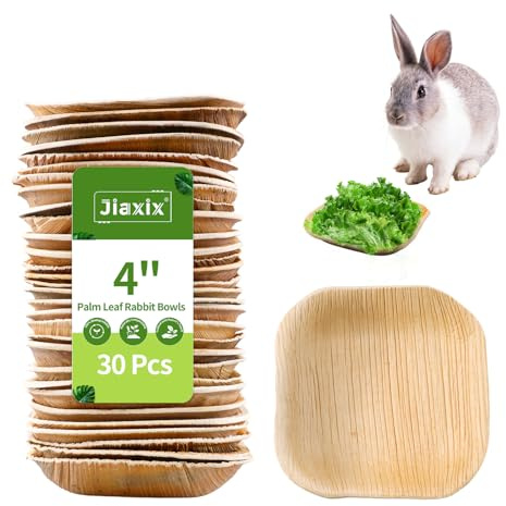 Jiaxix 30 Pcs Disposable Palm Leaf Bowl 4 Square Bowls for Rabbits,Chewable Dish for Rabbits,Bunnies,Hamsters,Parrot