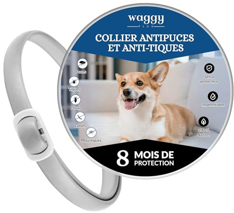 WAGGY PLUS Collier Antiparasitaire pour Chiens Grands, Moyens et Petits. Protection Efficace Contre Les puces, tiques, Larves, poux et moustiques. 100% Naturel. (Moyen)