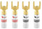 Nakamichi 24K vergoldeter Bananenstecker 12 AWG - 18 AWG Gauge Größe 4mm für Lautsprecher Verstärker Hi-Fi AV Receiver Stereo Heimkino Audiokabel Stecker Y-Anschluss Stecker, 4 Stück (2-Paar)