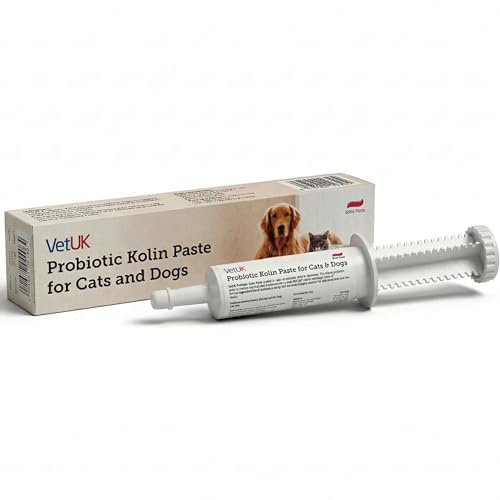 VetUK Veterinary-Grade Probiotic & Prebiotic Paste for Dogs & Cats - Fast Digestive Support - Pro Kolin Alternative - 15 ml