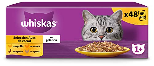 WHISKAS Comida húmeda en gelatina Gatos Adultos Selección de Aves - 4 x 12 bolsitas x 85g