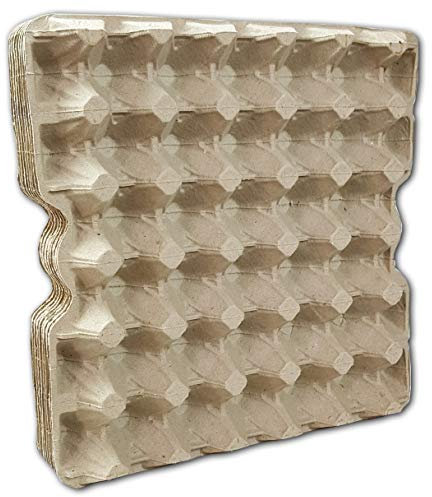 Ingbertson Boîtes à œufs pour œufs / boîtes à œufs pour œufs de poule sans impression - Boîtes à œufs (10, pour 30 œufs chacune)