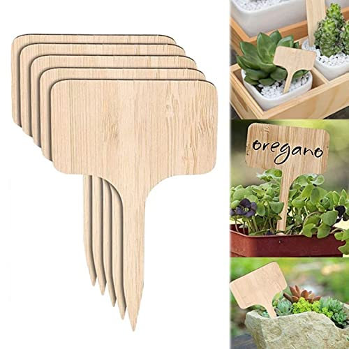 Cheeroyal 6/12 Pezzi Etichetta Pianta di Bambù Etichetta Pianta Legno Eco-Friendly T-Type Marcatori per Fiori Giardino Piante in Vaso (3.9x2.4inch/10x6cm) (12pcs)