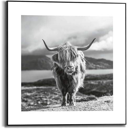 REINDERS Gerahmtes Bild, Rind, Schlafzimmer, Bilder, Wanddeko, Room Decor, MDF, Schwarz-Weiß, 50x50cm