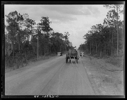 HistoricalFindings Photo: Turpentine Worker,Georgia,GA,Farm Security Administration,Dorothea Lange,FSA,1