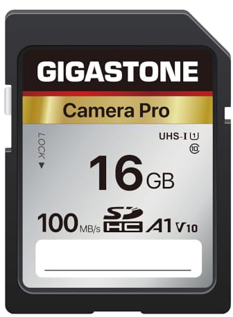 GIGASTONE 16GB SDHC Speicherkarte, Kamera Pro, bis zu 100 MB/s für Digitalkameras Canon, Full HD Videoaufnahmen UHS-I U1 V10 Klasse 10