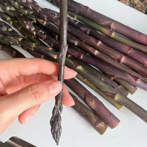 100 piezas Semillas de hortalizas de espárragos Semillas de hortalizas de invierno, plantas de balcón. Comprar semillas de plantas de espárragos. regalos para los amantes del jardín