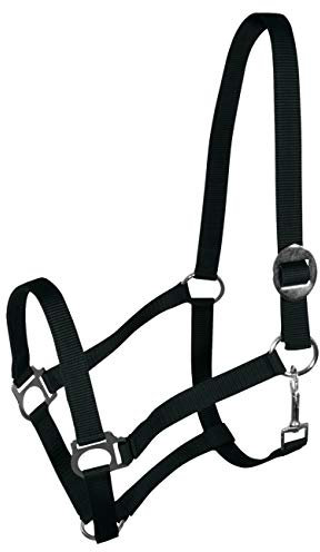 York Nylonhalfter Halfter Genickstück Verstellbar durch Schiebeschnalle Harmony Pferdehalfter (Full, schwarz)
